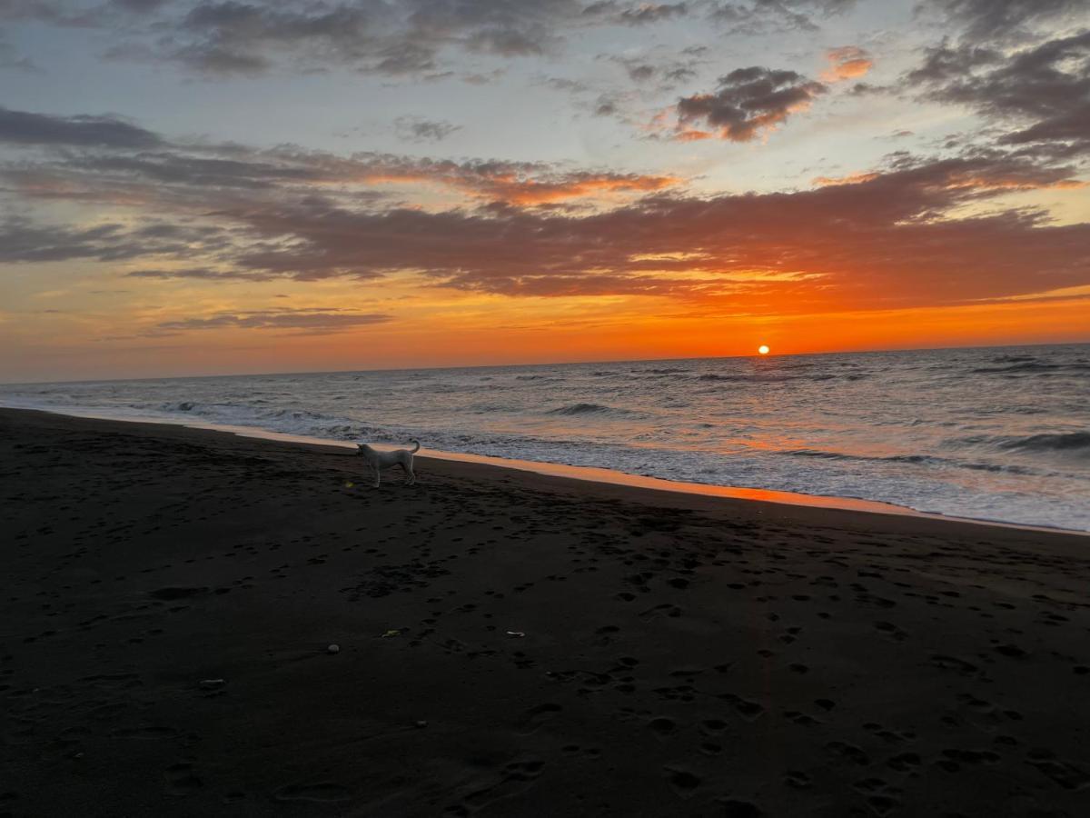 Vistapaloma Beach Resort Odiong 外观 照片